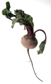 beetroot