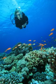 woman-diver