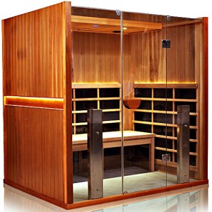 4 Person Yoga Sauna ClearLight Sanctuary Y-FS